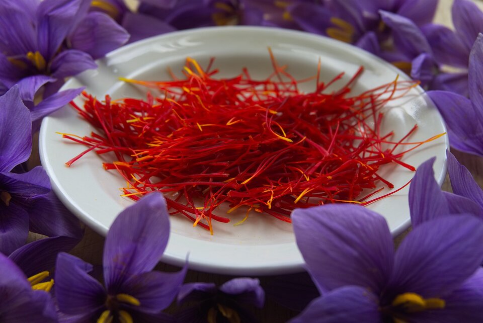 Saffron stigmas and Saffron Purple Flowers